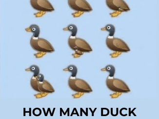 How many ducks are in the picture? The viral challenge sweeping the internet, explained