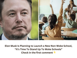 Breaking: Elon Musk Is Planning to Launch a New Non-Woke School, “It’s Gonna Revolutionize Schooling”