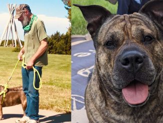 Man’s dying wish is to find a new home for his beloved dog: “Like trying to find a home for your child”