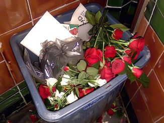 I Sent My Boyfriend Roses to His Workplace as a Sweet Surprise, but He Threw Them in My Face – I Taught Him a Good Lesson Later