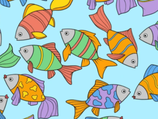 Brain test optical illusion: prove your genius by identifying the fish without a pair in this image