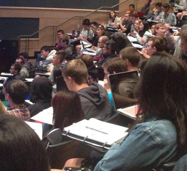  Not just students in this class, did you spot the giant pup up in the middle of the lecture hall?