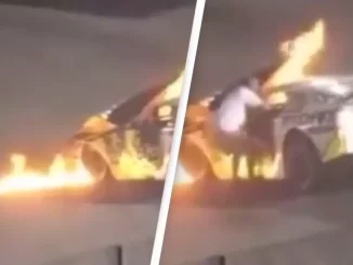 Unbelievable clip captures moment father rushed onto track to save his son from burning race car