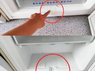 Almost all freezers have this “secret” element. That’s why it needs to be used once every 3 months