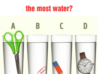 Which of the glasses contains the largest amount of water?