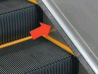 What is this thing that you always see on an escalator