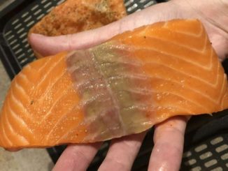 This explains why the salmon you defrosted has yellow on it.