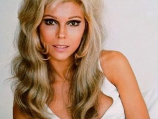 The Journey of Nancy Sinatra: Resilience, Transformation, and Success