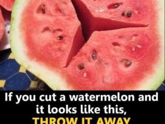 If you open a watermelon you find these cracks in it … DO NOT EAT IT!