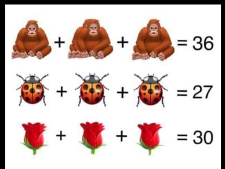 RIDDLE: Ape Bug Rose Maths Puzzle