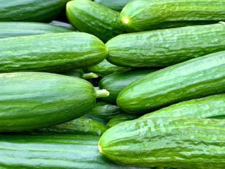 Cucumbers Recalled in 14 States Because of Salmonella Risk: Here’s Everything You Need to Know