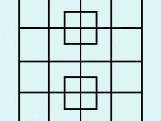 How Many Squares Do You See in This Puzzle?