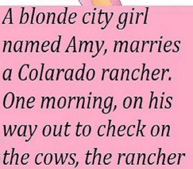 A blond City girl named Amy marries a N. Dakota rancher.