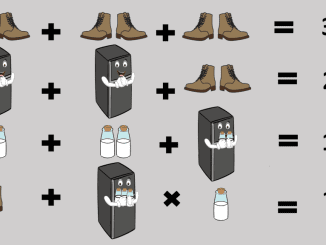 The shoes and refrigerator puzzle “brain hacks” netizens