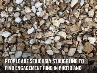 People Are Struggling to Find the Engagement Ring in This Photo. Can You See it?