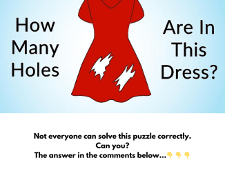 Easy Yet Detailed: Can You Accurately Estimate the Number of Holes This Dress Contain?