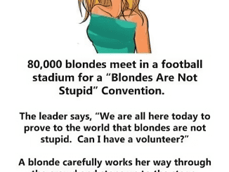 80,000 blondes meet in a football stadium for a “Blondes Are Not Stupid” convention