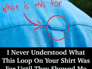 Why Do Button-Down Shirts Have Loops On the Back?