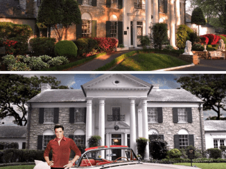 Have you ever seen Graceland from the inside? Never seen photos of Elvis Presley’s beloved home