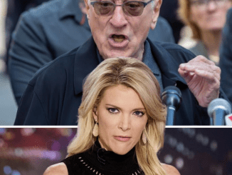 Megyn Kelly openly ‘blast’ Robert De Niro: “He is colossally stupid”