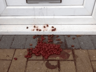 A woman discovered food left at her front door, but she disregarded the “sign”.