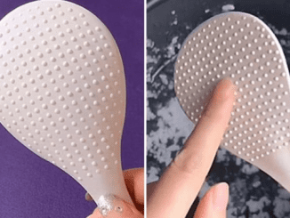 Discover the Hidden Purpose Behind the Dots on Your Rice Spatula – It’ll Change How You Cook Forever