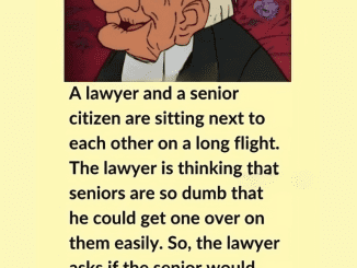 A lawyer and a senior citizen are on a plane