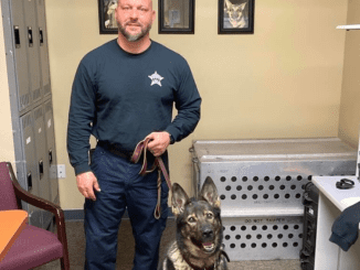 Police officers pay a heartfelt tribute to their beloved K9 companion with terminal cancer during her last farewell. His reaction will break your heart!