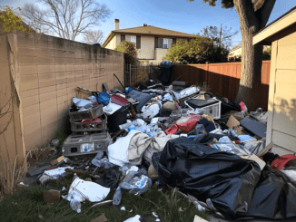 My Neighbor Trashed My Backyard for Revenge, but My Payback Was Even Harsher