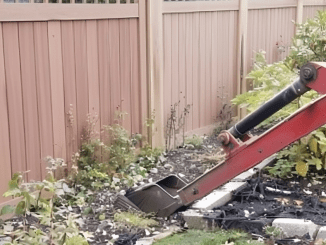 My Entitled Neighbor Forced Me to Take down My Old Fence – How Karma Got Her Back Is Unbelievable