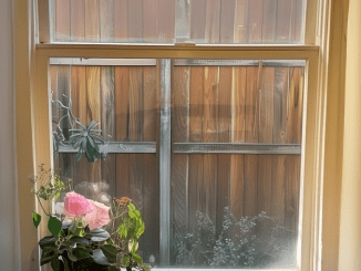 Rich Neighbor Built a Fence on My Property and Blocked My Windows While I Was on Vacation — I Taught Him a Perfect Lesson