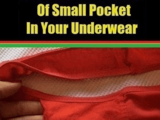 Have YOU ever wondered why there’s a pocket in your pants? Mystery of extra fold of material in women’s underwear is revealed (and it’s all down to manufacturers saving money)