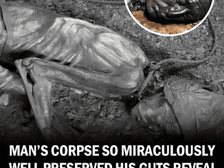 Man’s 2400-Year-Old Corpse So Well Preserved That His Guts Reveal His Last Meals