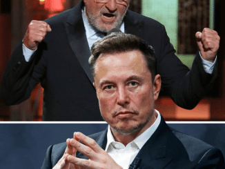 Elon Musk hits at Robert De Niro for his wokeness: “What are you talking about, it makes no sense”