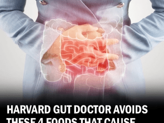 Harvard Gut Doctor Avoids These 4 Inflammatory Foods (and What She Eats Instead)