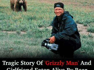 Tragic story of ‘grizzly man’ and girlfriend eaten alive by bear while filming entire ordeal