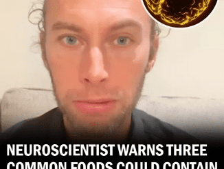 Neuroscientist Claims 3 Common Foods Could Contain Parasites that Can Cross into Your Brain