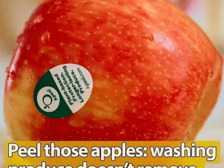 Peel Those Apples: Shock Study Finds Washing Fruit Before Eating Is Not Enough