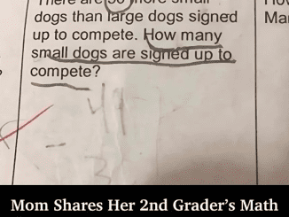 Mom Shares Her 2nd Grader’s Math Homework Online, And Almost No One Can Figure It Out – Why?