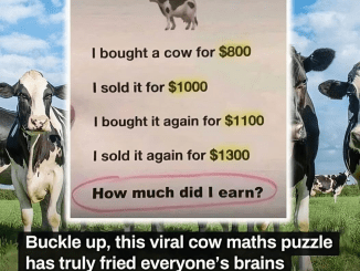 The Cow Math Puzzle: A Brain Teaser for the Curious Mind