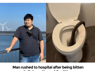 Man rushed to hospital after being bitten on balls by python while sitting on home toilet