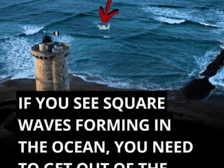 If You See Square Waves Forming In The Ocean, Get Out Of The Water Immediately