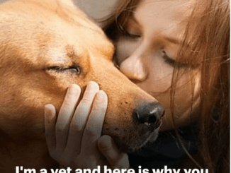 Hugging Your Dog May Do More Harm Than Good, According to Vet