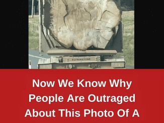 Now We Know Why People Are Outraged About This Photo Of A Log On A Truck