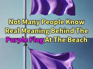 The Meaning of a Purple Flag at the Beach