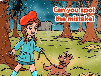 Test: Spot the Mistake in These Images in Less Than 10 Seconds