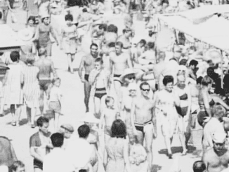 Beach in the ’70s: No Overweight People in Sight. How the Food Industry’s Impact Has Changed!