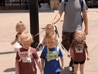 Dad gets massively shamed for putting leashes on his 5-year-old quintuplets