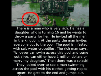 “The Crocodile Riddle: Why It Captivates the Minds of People All Over the World