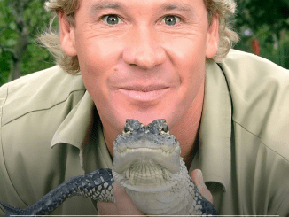 Steve Irwin’s final words were caught on camera and shared by long-time friend